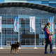 Illustration for article titled The Dogs Of Sochi